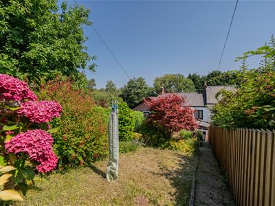 Picture 20